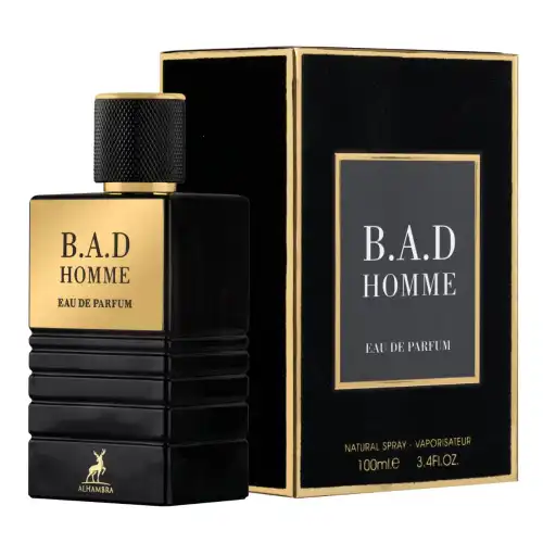 maison-b-a-d-homme